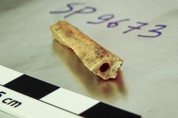 Bone fragment from a male Neanderthal in Denisova Cave, known as D1
