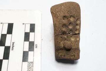 11 Dots May Be Oldest Mesoamerican Numbers