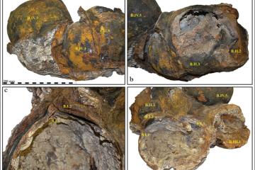 Some of the 43 helmets found off Benicarló coast.