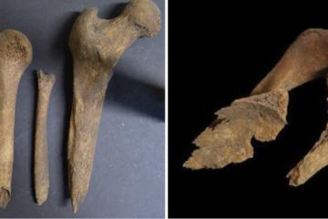 Iron Age long bones from Loch Borralie, Scotland, including femus whittled to sharp points as part of a postmortem burial ritual. 