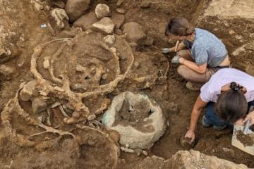 The deposit of iron tyres in Trench 1 shortly after being uncovered.