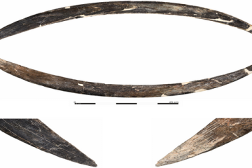 Mammoth ivory boomerang from Obłazowa Cave, Poland