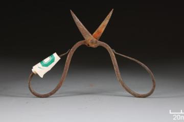 A pair of 600-year-old iron surgical tools (scissors and tweezers) from the tomb of Ming Dynasty physician Xia Quan.