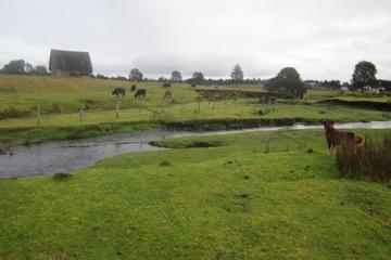 Monte Verde archaeological site, Chile.