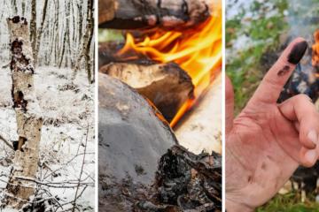 Researchers used methods that Neanderthals also used to produce birch tar.
