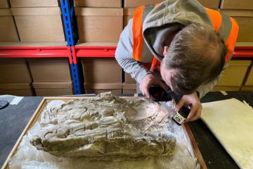 Researcher examining the Roman gypsum burial at the Yorkshire Museum