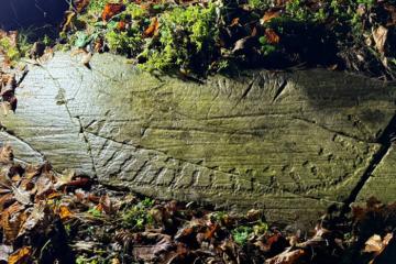 Rock carving of a boat with human figures, just found at Kolsåstoppen in Bærum.