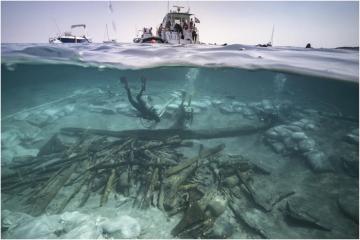 View of the excavation of the bow area of the Ilovik-Paržine 1 shipwreck, showing the cargo of logs and amphorae.