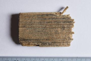 Fragment of a wooden writing tablet that has been examined.