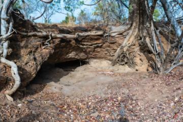 Photo of the iron mine before excavation.