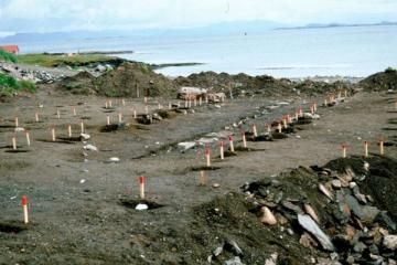 Pegs marking the post holes of two large boathouses on Rennesøy, north of Stavanger. 