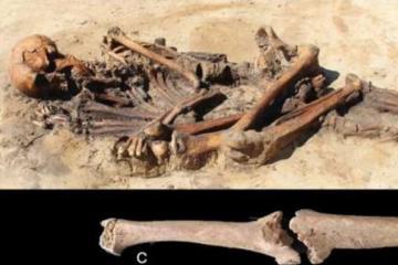 Adult male skeleton recovered from ancient Scandinavian home.