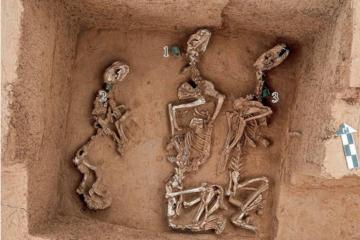 A sacrificial pit photo shows bronze bells marked among animal remains at Yinxu