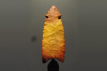 A fluted Clovis stone spear point in yellow and red chert, shown point upwards against a dark grey museum background