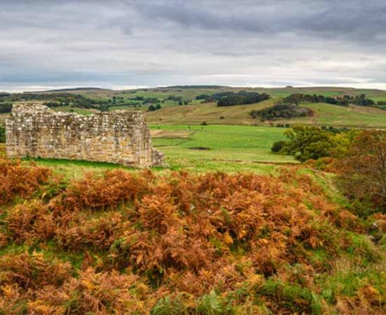 The ruins of an early 17th century bastle or defensible farmhouse in the Anglo-Scottish Borders as protection against Border Reivers. Source: drhfoto/Adobe Stock
