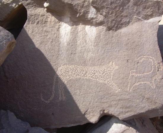 1000s of animal petroglyphs found in Egypt