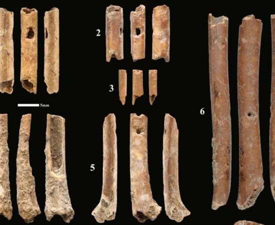 Bone ‘aerophones’ or flutes from Eynan-Mallaha. Source: Laurent Davin et al/ Nature 