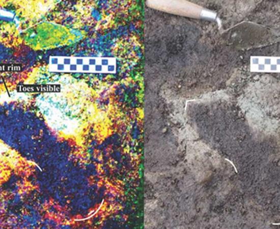 Track number #22 showing sediment displacement rim around distal end of the ancient footprint. 