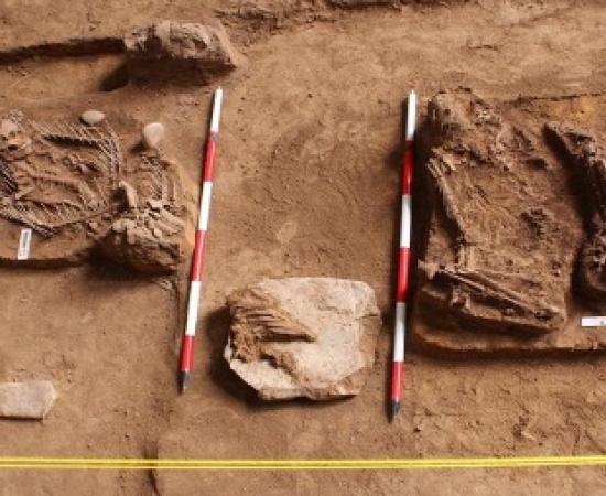 These two ancient skeletons buried at the Gua Chalan site were discovered before a hydroelectric lake flooded it.