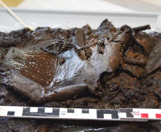 2,000-Year-Old Shoe Unearthed in German Bog