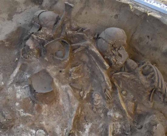 Collective burial pit excavated at Krasnoyarsk, Siberia. 	Source: Dimitry Vinogradov/Haaretz