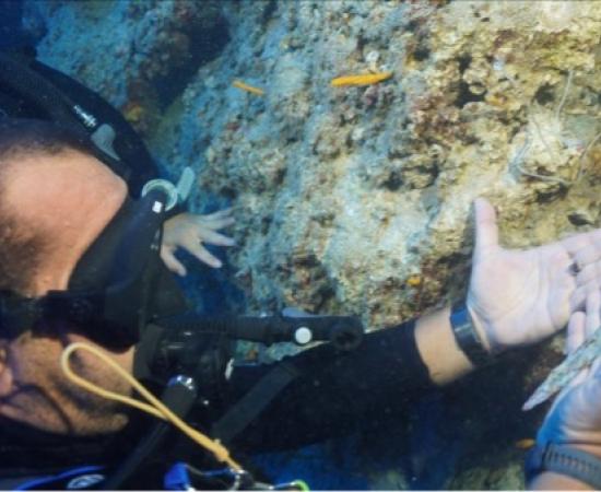 Hakan Öni releasing the Bronze dagger from the seabed. 