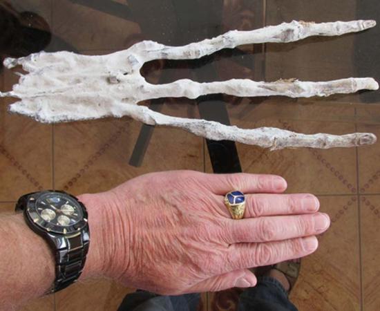 A mummified three-fingered hand with eight inch fingers has been found in a Peruvian tunnel in the desert. While first inspection may lead one to conclude that it is nothing more than an imaginative man-made creation, examination by a physician in Cusco, Peru, revealed that it is composed of skin and bone, with six bones in each finger. 