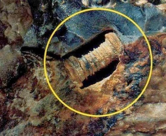 300 million-year-old screw