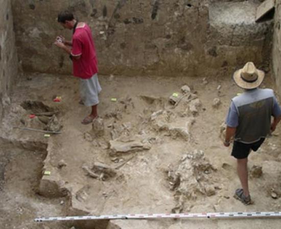 37,000-year-old bones