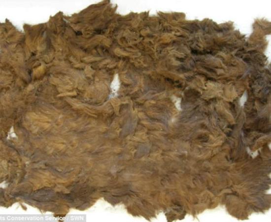 4,000-year-old pelt