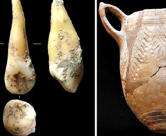 Left:  tooth which has had its genome sequenced, discovered in a Spanish cave. It belonged to a Neolithic farmer from 7400 years ago. Right: Cardium Pottery typical of the culture to which the Neolithic farmer is believed to have belonged.