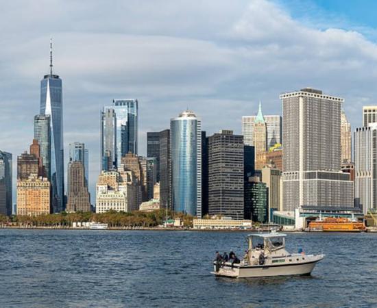  Lower Manhattan as seen from Governor’s Island.