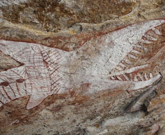 Head of the over 6 meters long rainbow serpent at AW5 in Awunbarna, Australia