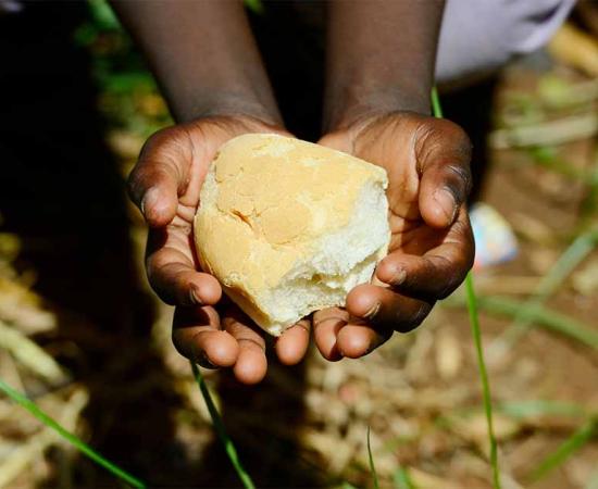 Australian Aboriginals are the first culture to make bread. Source:  Riccardo Niels Mayer / Adobe Stock.