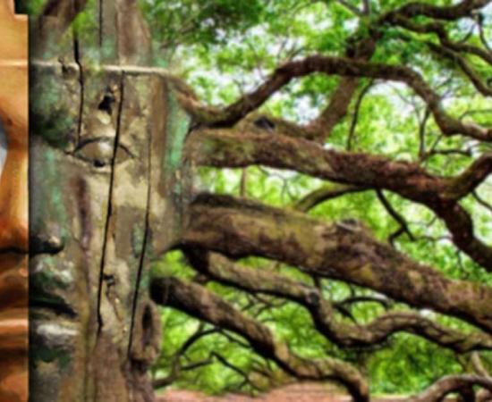  Illustration of the "Emmons mask", a Mississippian culture carved cedarwood human face shaped object once covered in copper and painted with galena and used as part of a headdress