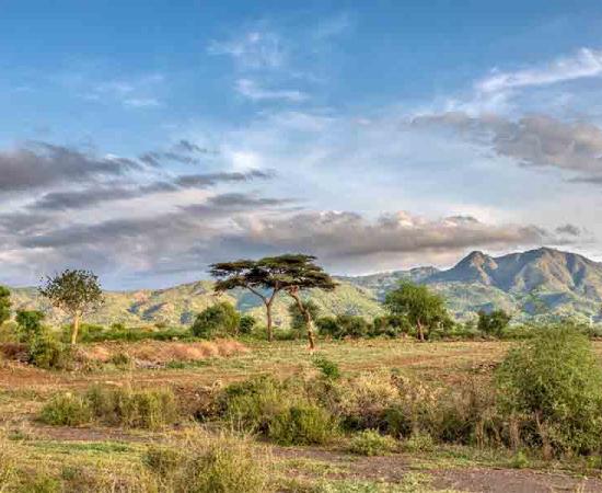 The landscape of Ethiopia today. During the first African migrations by Homo sapiens heading north to Europe or west to the Middle East, Ethiopia and East Africa in general were areas where the climate fluctuated frequently.