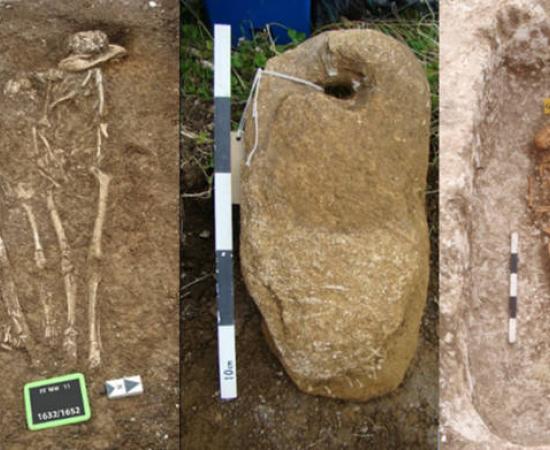 Skeltoons from the burials studies at Updown and Worth Matravers cemetries. 