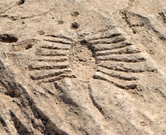 Boat with oars on a rock, Al Jassasiya, Qatar Source: Alizada Studios/ Adobe Stock