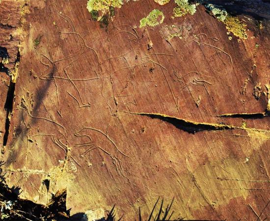 Altai Rock Art Images Reveal Insights Into Ancient Nomadic Culture