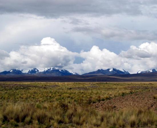 Field view of Altiplano. 
