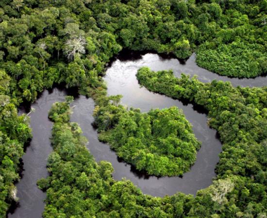 : Aerial view of a river winding through the Amazon rainforest. 