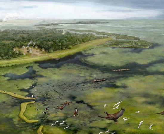 Illustration representing the way the rainforest landscape was shaped by ancient Amazonians around 3,500 years ago. Source: Kathryn Killackey / UCF