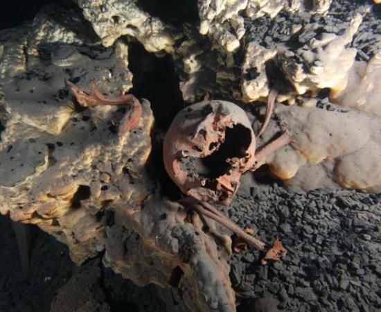 Original position of the skeletal remains inside submerged cave of Muknal.    Source: Jerónimo Avilés /© 2020 Hubbe et al CC BY 4.0