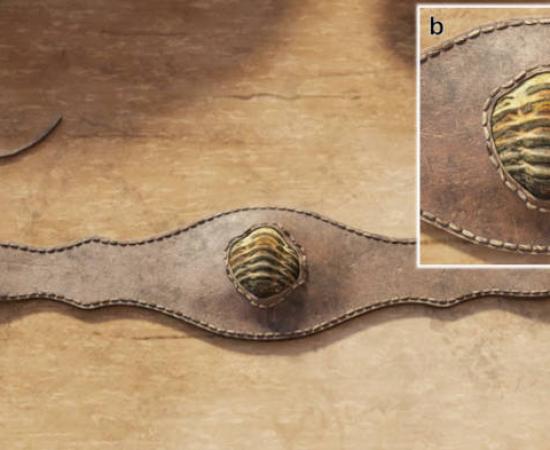 Computer simulation of the Armea trilobite specimen mounted for use as a personal ornament on a leather bracelet 