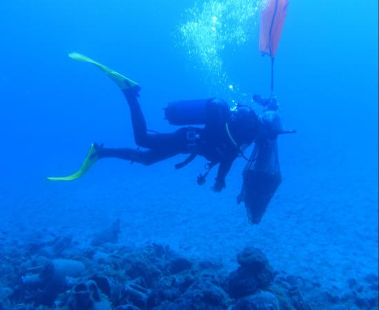 An underwater archaeologist from Greece's Ephorate of Underwater Antiquities documents the newly discovered merchant shipwreck off Andros Island