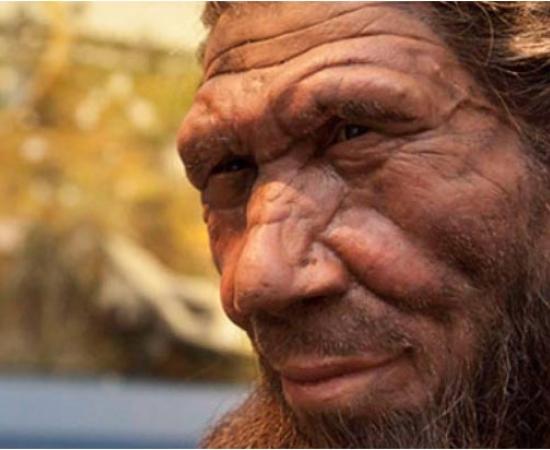 : An artist’s reconstruction of a Neanderthal, displayed in the exhibition ‘Britain: One Million Years of the Human Story’. Source: The Trustees of the Natural History Museum, London 