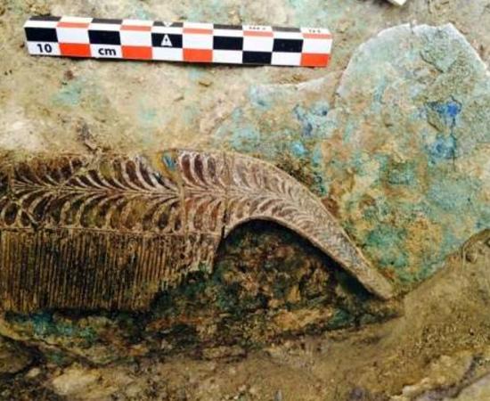 An ivory comb found in the 3,500 years old warrior tomb unearthed in the Peloponnese region of Greece.