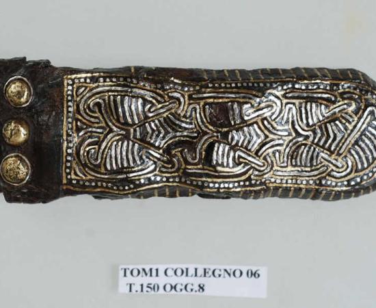 Ancient DNA Uncovers Surprising Genetic Diversity Among Post-Roman Elites