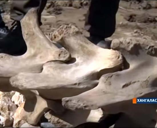 Ancient Bones of Mystery Creature Dug up by Children in Yakutian Village