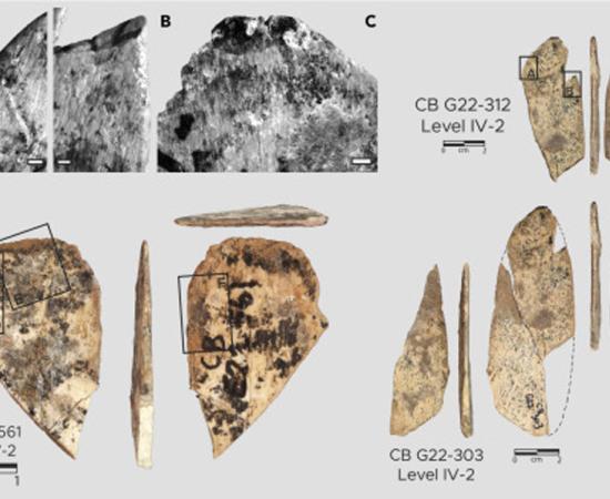 Spatulate tools found at the Contrabandiers Cave site in Morocco. Source: Cell Press.